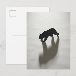 Black Bear Shadow in White Wilderness Postcard