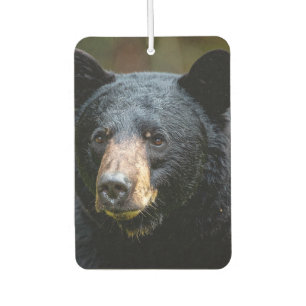Black bear Sign Air Freshener