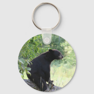 black bear sitting in tree keychain