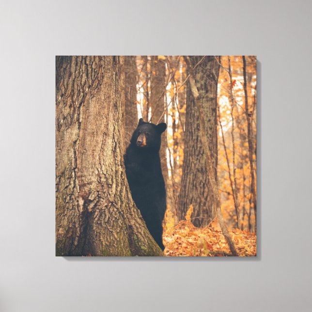 Black Bear Standing by a Tree Canvas Print (Front)