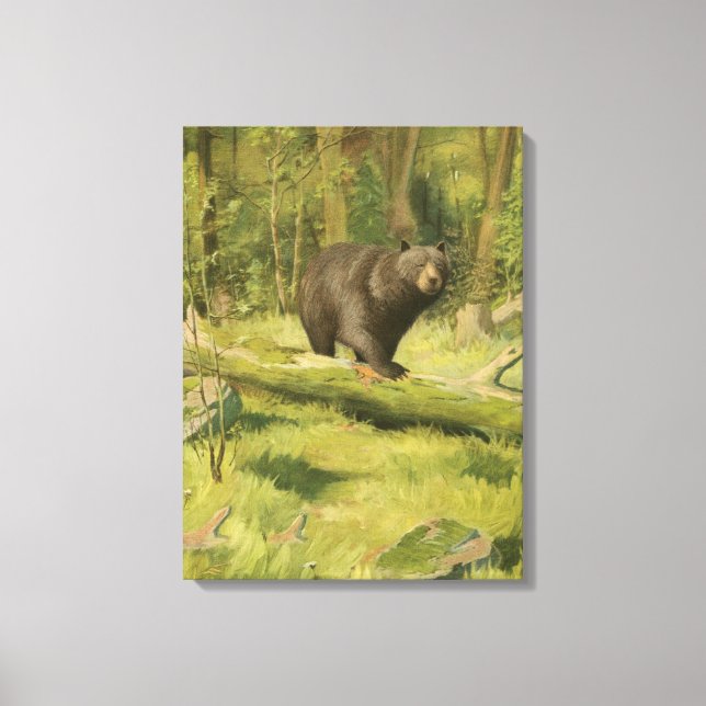 Black Bear Stepping on a Tree Trunk Canvas Print (Front)