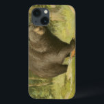 Black Bear Stepping on a Tree Trunk iPhone 13 Case<br><div class="desc">This fine art print by Oliver Kemp illustrates a brown bear stepping on a fallen tree in a forest. The pastel green colours are calming for the eye and create a nice warm feeling of the awakening nature in the spring. A great addition to any rustic home decor!</div>