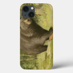 Black Bear Stepping on a Tree Trunk iPhone 13 Case