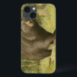 Black Bear Stepping on a Tree Trunk iPhone 13 Case<br><div class="desc">This fine art print by Oliver Kemp illustrates a brown bear stepping on a fallen tree in a forest. The pastel green colours are calming for the eye and create a nice warm feeling of the awakening nature in the spring. A great addition to any rustic home decor!</div>