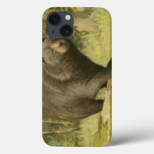 Black Bear Stepping on a Tree Trunk iPhone 13 Case