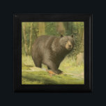 Black Bear Stepping on a Tree Trunk Gift Box<br><div class="desc">This fine art print by Oliver Kemp illustrates a brown bear stepping on a fallen tree in a forest. The pastel green colours are calming for the eye and create a nice warm feeling of the awakening nature in the spring. A great addition to any rustic home decor!</div>