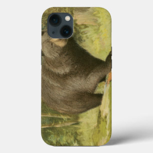 Black Bear Stepping on a Tree Trunk iPhone 13 Case
