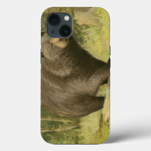 Black Bear Stepping on a Tree Trunk iPhone 13 Case