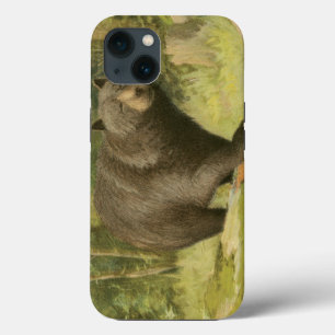 Black Bear Stepping on a Tree Trunk iPhone 13 Case