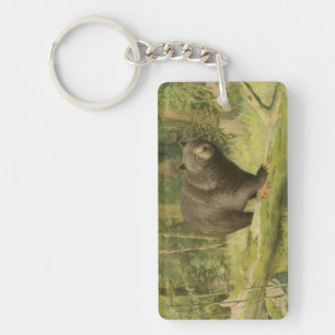 Black Bear Stepping on a Tree Trunk Keychain