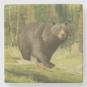 Black Bear Stepping on a Tree Trunk Stone Coaster