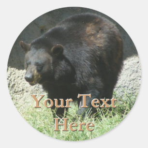 Black Bear Stickers