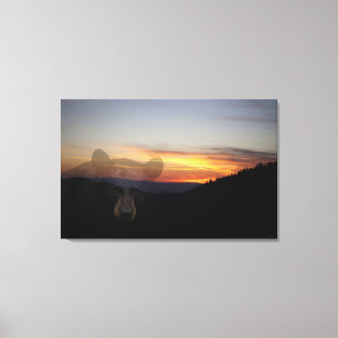 Black Bear Sunset Canvas Print
