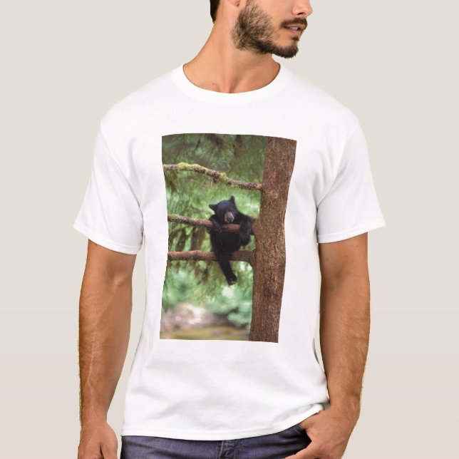 black bear, Ursus americanus, cub in a tree T-Shirt (Front)