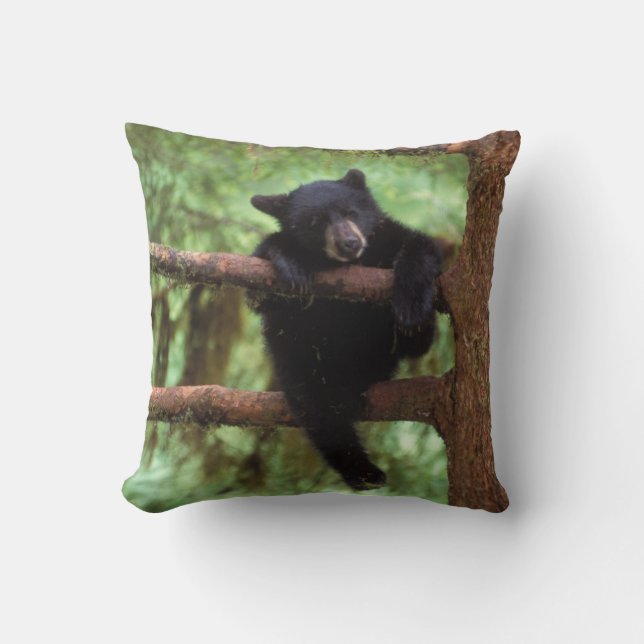 black bear, Ursus americanus, cub in a tree Throw Pillow (Front)