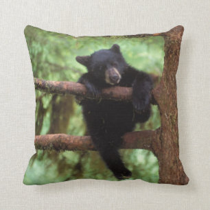 black bear, Ursus americanus, cub in a tree Throw Pillow