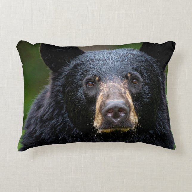 Black Bear Wild Nature Design Accent Pillow (Front)