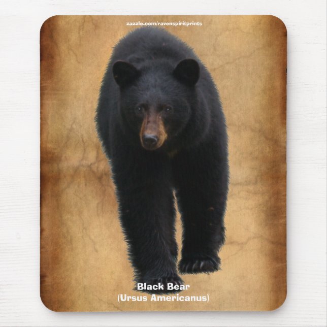 Black Bear Wildlife Supporter Mousepad (Front)