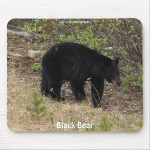 Black Bear Wildlife Supporter Mousepad