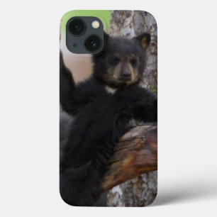 Black Bears Cub Lounging iPhone 13 Case