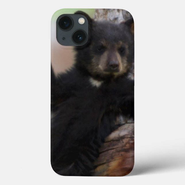 Black Bears Cub Lounging Case-Mate iPhone Case (Back)
