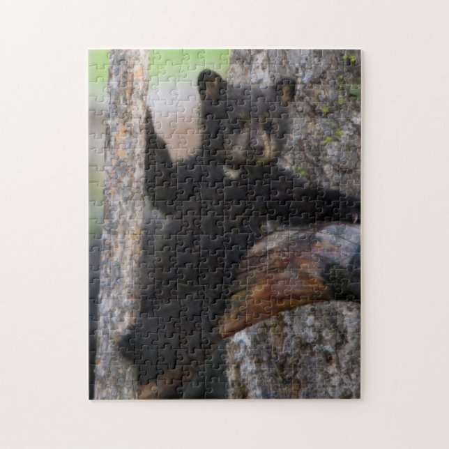 Black Bears Cub Lounging Jigsaw Puzzle (Vertical)