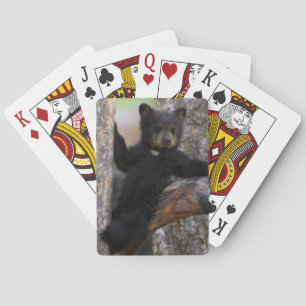 Black Bears Cub Lounging Playing Cards