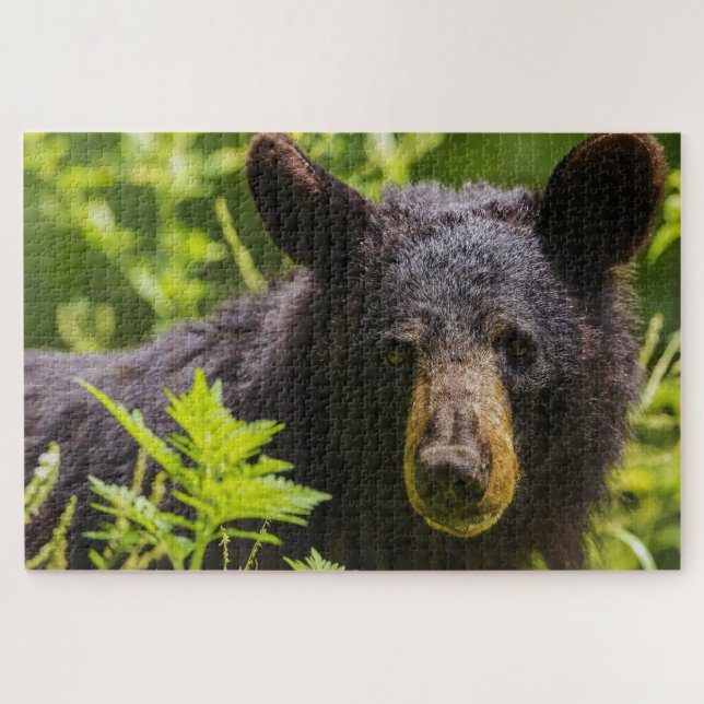 Black Bears. Jigsaw Puzzle (Horizontal)