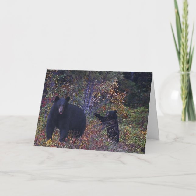 BLACK BEARS Wildlife Greeting Card (Front)