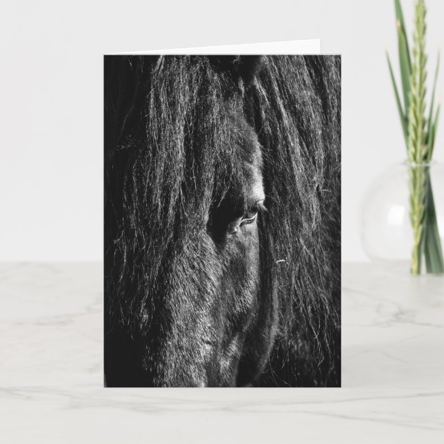 Black Beauty - Carte de voeux (Devant)