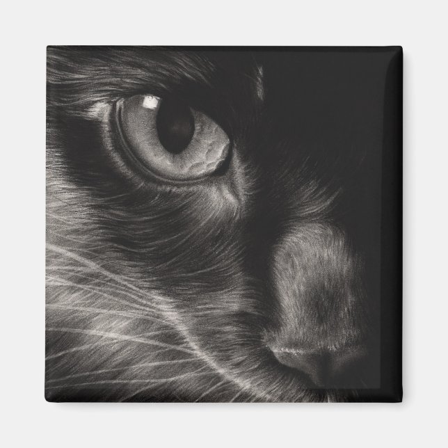 Black Beauty Cat Magnet (Front)