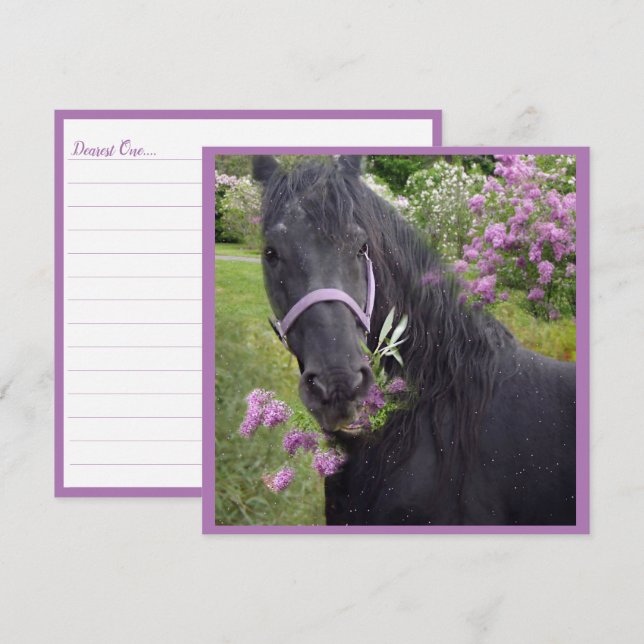 Black Beauty Friesian Horse - Carte de voeux (Devant / Derrière)