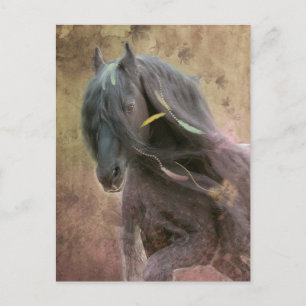 Black Beauty Friesian Horse - Carte postale