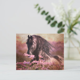 Black Beauty Friesian Horse - Postcard
