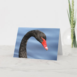 Black Beauty Greeting Card