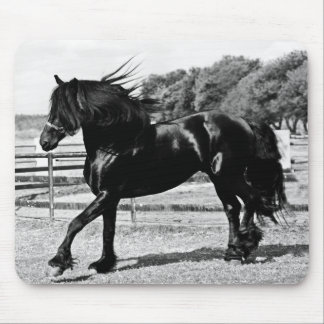 Black Beauty Horse Mouse Pad
