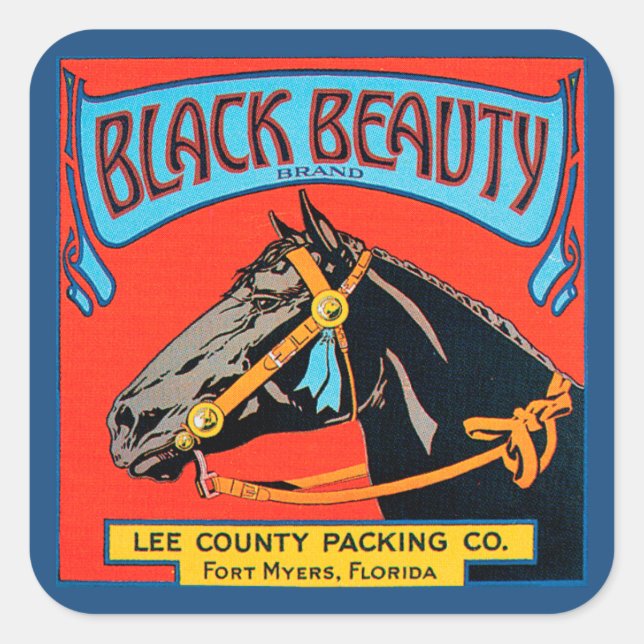Black Beauty Horse on Red Background Square Sticker (Front)