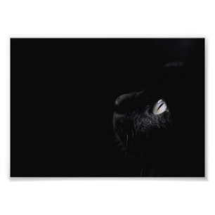 Black beauty, photo print