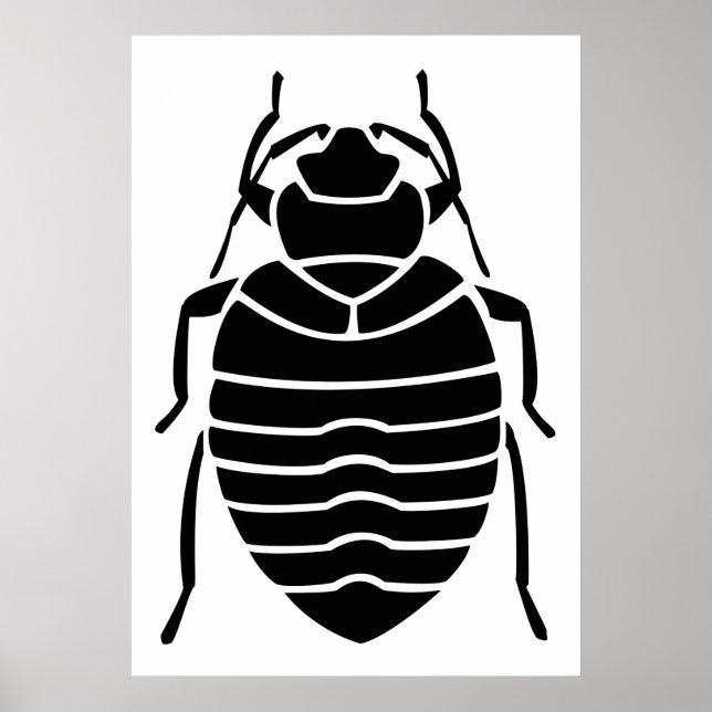 Black Bedbug Insect Poster (Front)