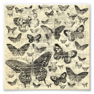 Black beige, butterflies,vintage,shabby chic,patte photo print
