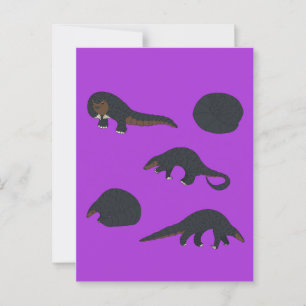 Black bellied  Pangolins Postcard