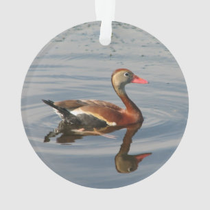 Black-bellied Whistling-Duck Ornament