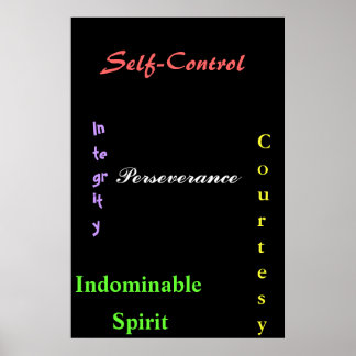 Black Belt Tenents Poster