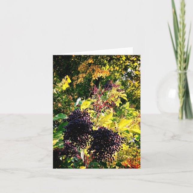 Black berries card (Front)