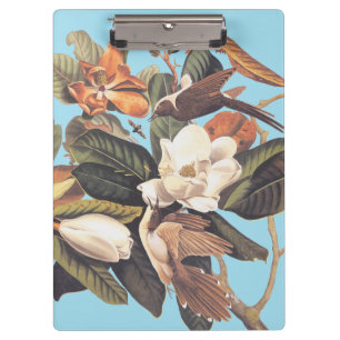 Black Billed Cuckoo Bird Clipboard