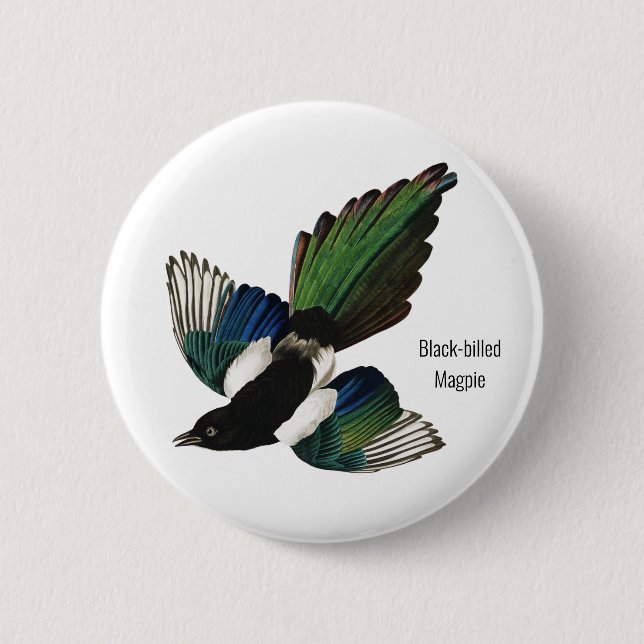 Black-billed Magpie, Audubon, American Birder, 2 Inch Round Button (Front)