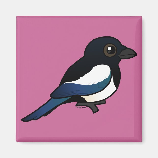 Black-billed Magpie Magnet (Front)