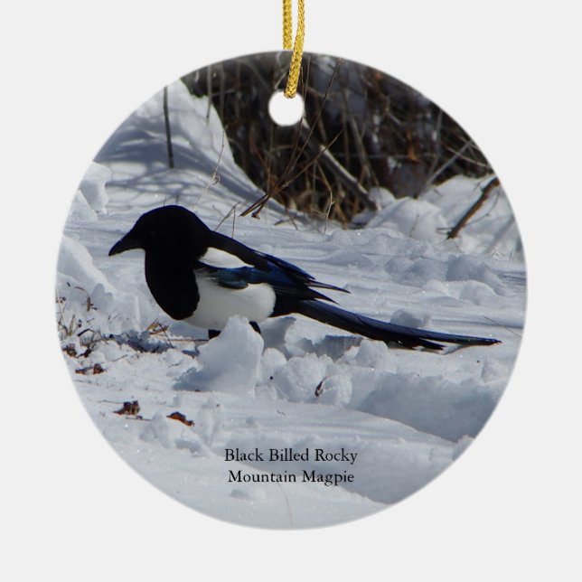 Black Billed Rocky Mountain Magpie ornament (Front)