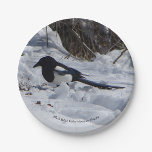 Black Billed Rocky Mountain Magpie paper plate