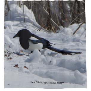 Black Billed Rocky Mountain Magpie shower curtain